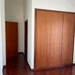 Penthouse Palmeira