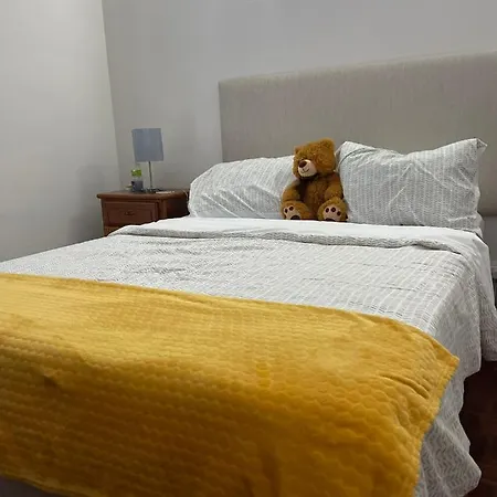 Penthouse Palmeira Apartman